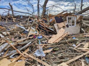 Disaster resilience planning